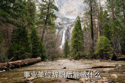 從興業辭職后能干什么,從單位辭職后