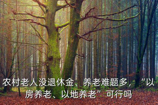 農村老人沒退休金、養老難題多，“以房養老、以地養老”可行嗎