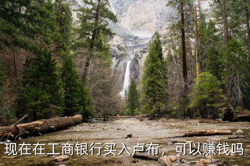 現在在工商銀行買入盧布，可以賺錢嗎