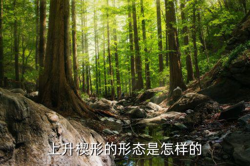 股市楔形是什么樣的,上升楔形的形態是怎樣的