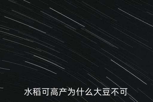水稻為什么不能高產,反而去種常規水稻
