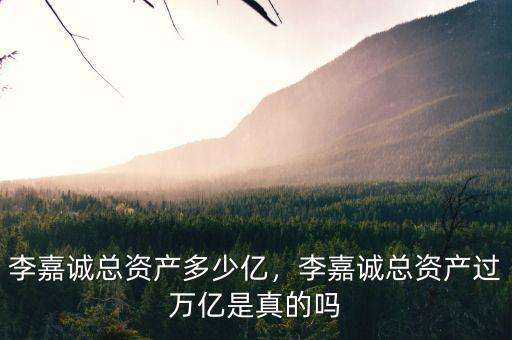 李嘉誠總資產多少億，李嘉誠總資產過萬億是真的嗎