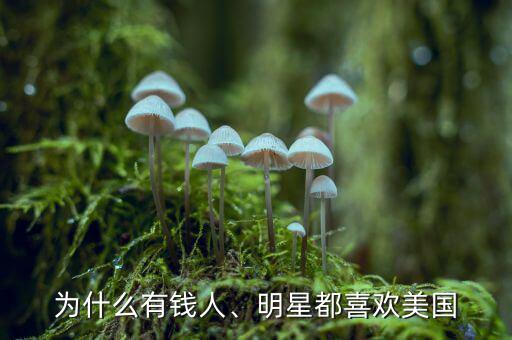 為什么有錢人、明星都喜歡美國(guó)