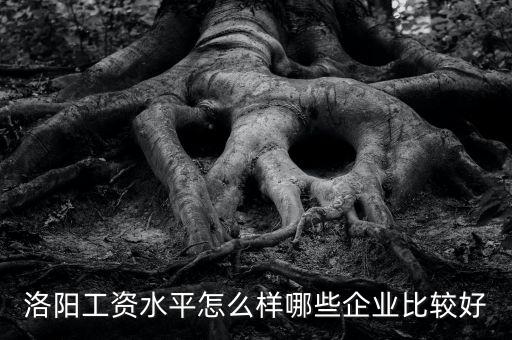 洛陽工資水平怎么樣哪些企業比較好