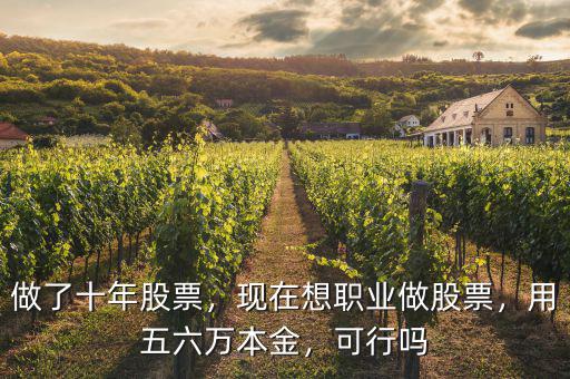 做了十年股票，現在想職業做股票，用五六萬本金，可行嗎