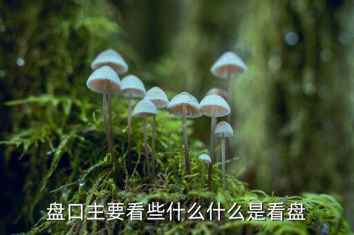 央視看盤指數是什么,盤口主要看些什么