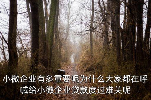 小微企業有多重要呢為什么大家都在呼喊給小微企業貸款度過難關呢