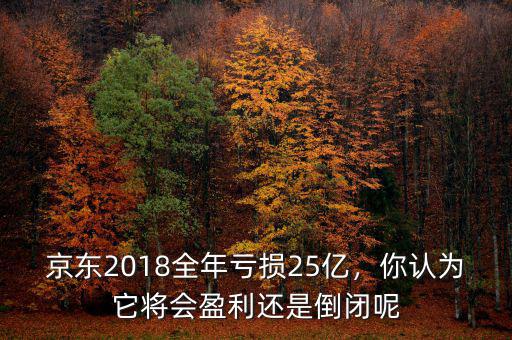 京東2018全年虧損25億，你認為它將會盈利還是倒閉呢