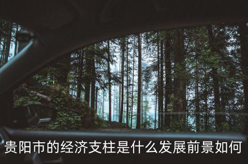 貴陽市的經濟支柱是什么發展前景如何