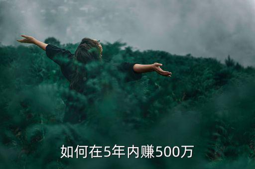 如何在5年內賺500萬