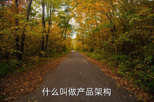 什么是產品銷售結構,在你看來什么是銷售