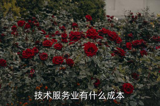 服務業的成本是什么,服務行業是有成本的嗎