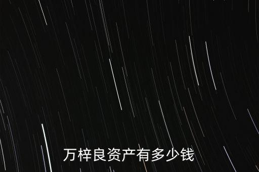 萬梓良資產有多少錢