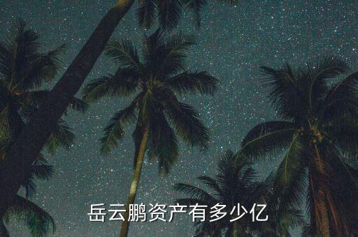 王進林有多少資產,60后的你現在有多少資產