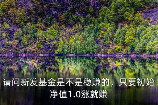 新發基金怎么買,新發行的基金值得購買嗎