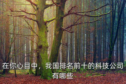 在你心目中，我國排名前十的科技公司有哪些
