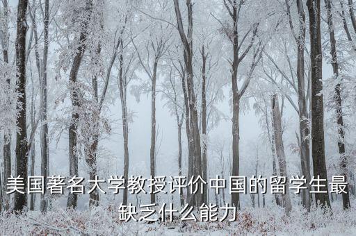 美國著名大學教授評價中國的留學生最缺乏什么能力
