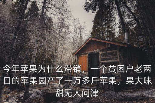 今年蘋(píng)果為什么滯銷(xiāo)，一個(gè)貧困戶(hù)老兩口的蘋(píng)果園產(chǎn)了一萬(wàn)多斤蘋(píng)果，果大味甜無(wú)人問(wèn)津