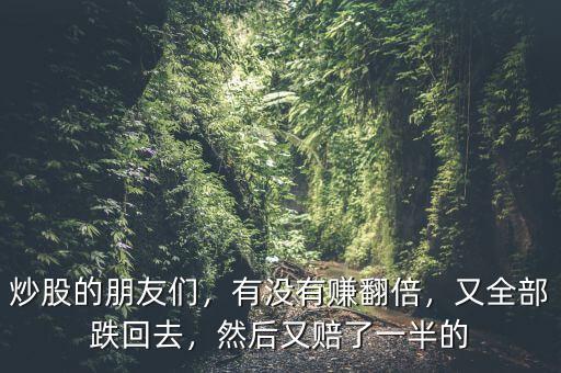 炒股的朋友們，有沒有賺翻倍，又全部跌回去，然后又賠了一半的