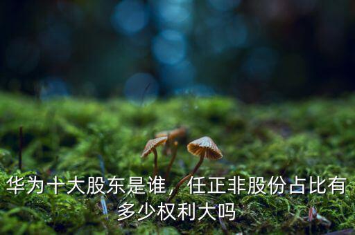 華為十大股東是誰，任正非股份占比有多少權利大嗎