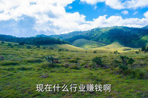 國家現在經濟狀況看相對什么賺錢,現在的經濟形勢下