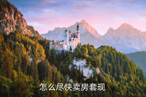 怎么盡快賣房套現
