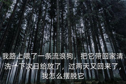 我路上喂了一條流浪狗，把它帶回家清洗一下次日給放了，過兩天又回來了，我怎么擺脫它