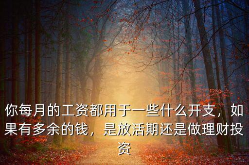 你每月的工資都用于一些什么開支，如果有多余的錢，是放活期還是做理財投資