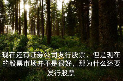 為什么要發行股票,那為什么還要發行股票