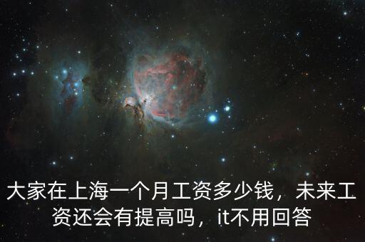 大家在上海一個月工資多少錢，未來工資還會有提高嗎，it不用回答
