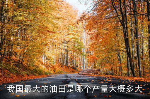 我國最大的油田是哪個產量大概多大