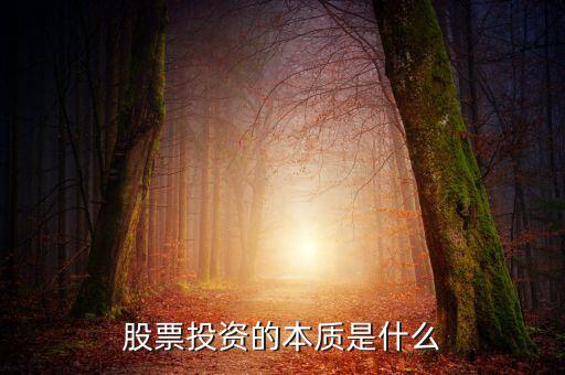 投資的本質到底是什么,投資的本質是什么