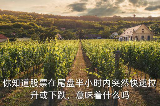 你知道股票在尾盤半小時內突然快速拉升或下跌，意味著什么嗎