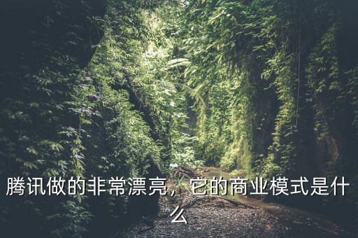 騰訊做的非常漂亮，它的商業模式是什么