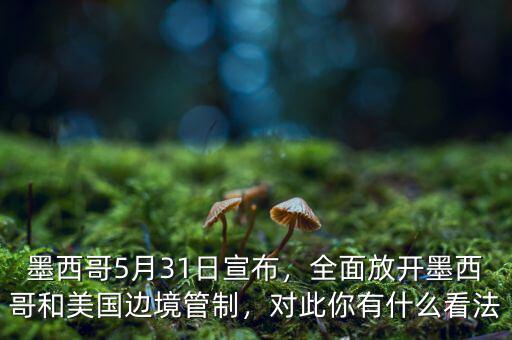 墨西哥5月31日宣布，全面放開墨西哥和美國邊境管制，對此你有什么看法