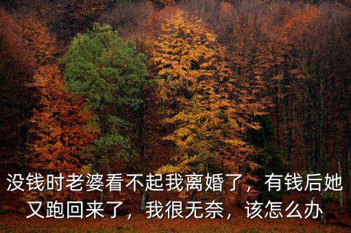 沒錢時老婆看不起我離婚了，有錢后她又跑回來了，我很無奈，該怎么辦