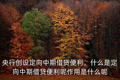 央行創設定向中期借貸便利，什么是定向中期借貸便利呢作用是什么呢