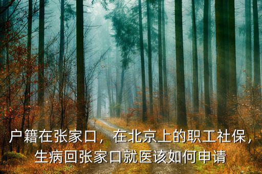 張家口的醫保在北京看病怎么報銷,在北京上的職工社保