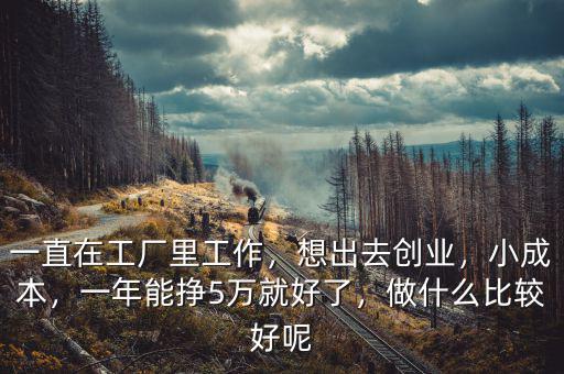 一直在工廠里工作，想出去創業，小成本，一年能掙5萬就好了，做什么比較好呢