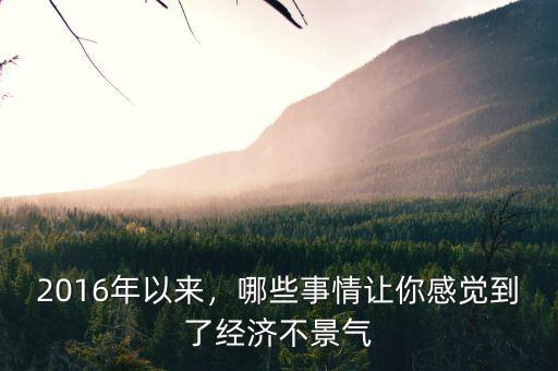 2016年以來，哪些事情讓你感覺到了經濟不景氣