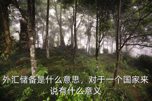 外匯儲備是什么意思，對于一個國家來說有什么意義