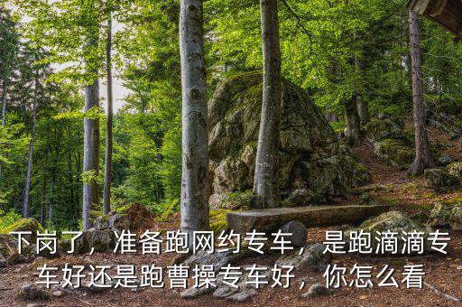 下崗了，準(zhǔn)備跑網(wǎng)約專車，是跑滴滴專車好還是跑曹操專車好，你怎么看