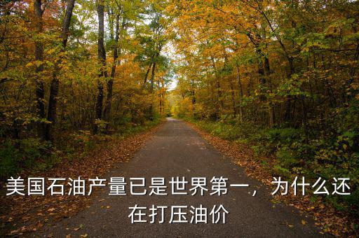 美國(guó)石油產(chǎn)量已是世界第一，為什么還在打壓油價(jià)