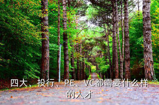 四大、投行、PE、VC都需要什么樣的人才