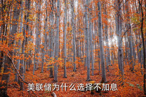 美聯儲為什么選擇不加息