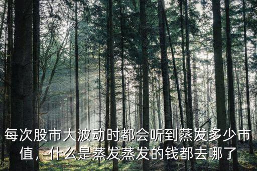 股災蒸發了多少錢,蒸發的錢都去哪了