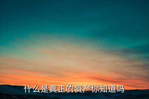 什么是真正的資產你知道嗎