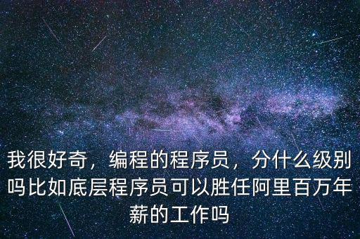 我很好奇，編程的程序員，分什么級別嗎比如底層程序員可以勝任阿里百萬年薪的工作嗎
