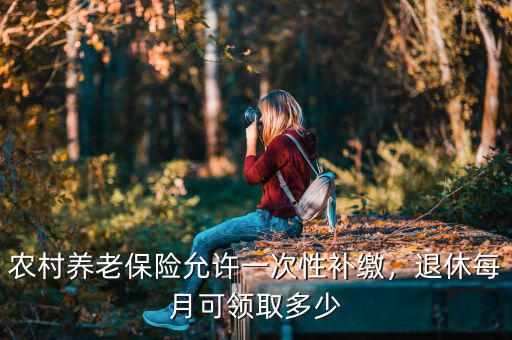 養老保險一次性繳納每月領多少,退休每月可領取多少
