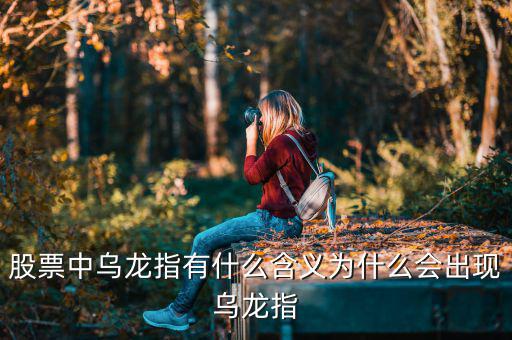 股票中烏龍指有什么含義為什么會出現烏龍指